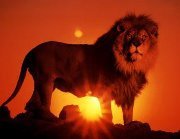 Aswin Bahar dalimunthe