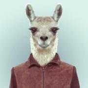 Түмэн-Эрдэнэ-Ортиз Алтангадас