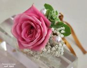 وردة ربيعية