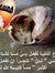 Abdelma...