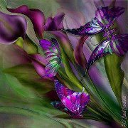 Sandi Brown