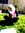 Rawan Al Shammary