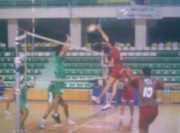 Ahmed Eltemamy