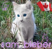 Sam Bieber