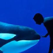 Kaushik Bhattacharjee