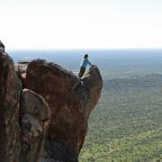 Tammy Primack-bedard