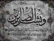 Mostafa Abd eltwab