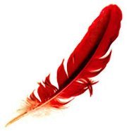 Сања Грујић