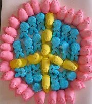 Priscilla Herrington