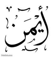 Ayman Ahmed
