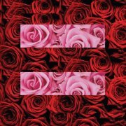 Marla Matson-quattrone