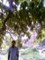 Vikas B...