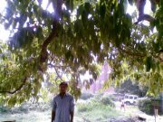Vikas Belwal