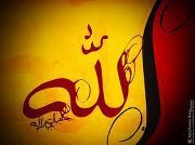 الفراشه الحائره