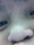Wan Faten