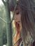 Haneen ...