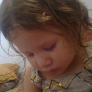 محمد الطويل