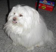 Amy