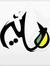 Hany Kamel