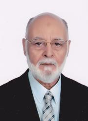 د.بهاء هلالى