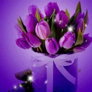 إيمـــــــــان ســــــــلاّم