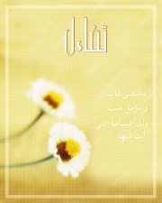 عبير العاربي