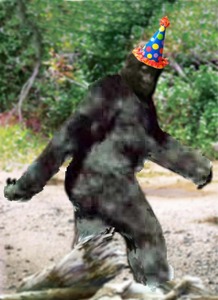 Dave Berkers