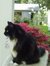Mitzy