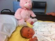 Vanessa Kelloway-collins