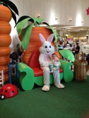 Yolanda Passement-thomas