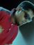 Abhinav...