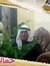مصطفى ا...