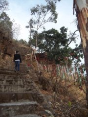 Daniel Aguilar hernández