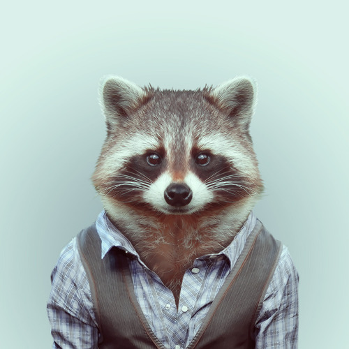 Goodreads profile picture for @shoemaker