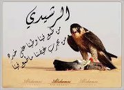 ماجد الرشيدي