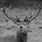 Vicky Hudspith-bailey