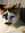 Marc | 11 comments