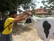 Mohammad Uslim