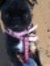 Betty B...