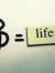 Ane Luk...