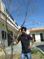 Harpreet Preet