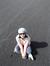 Indah A...
