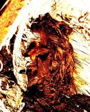 Necróforo Hernández