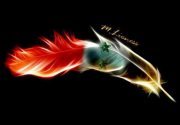 Roula Watfi