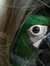 Trudi M...