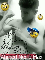 Åĥḿèd Ńèćïb max