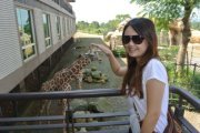 Pei Ying