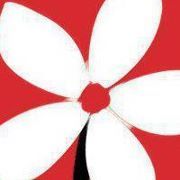 Ali El daker mohammad