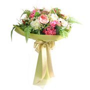 Webdesignibrahim Syed