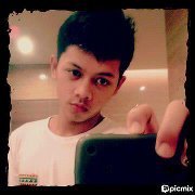 Boby Van scheuchzeri